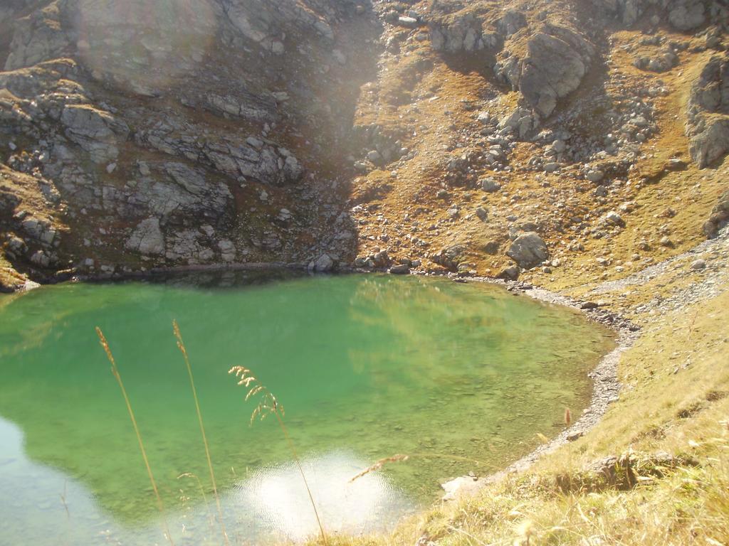 Scheurerhof Leilighet Tux Rom bilde